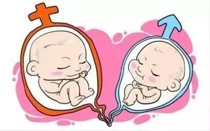 第三代试管婴儿 PGT